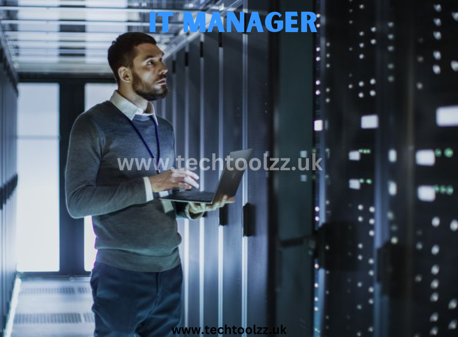 IT Manager